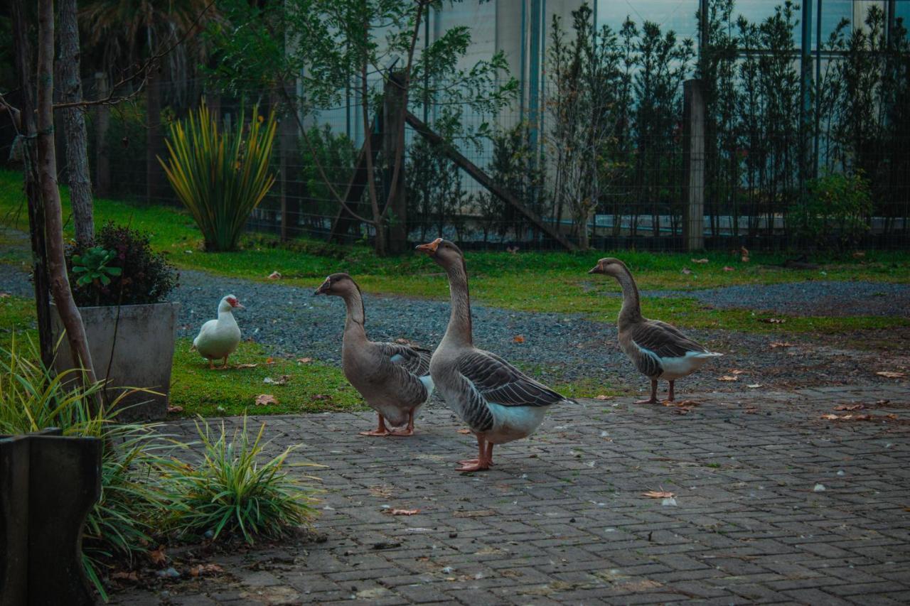 Gramado Motorpark 빌라 외부 사진